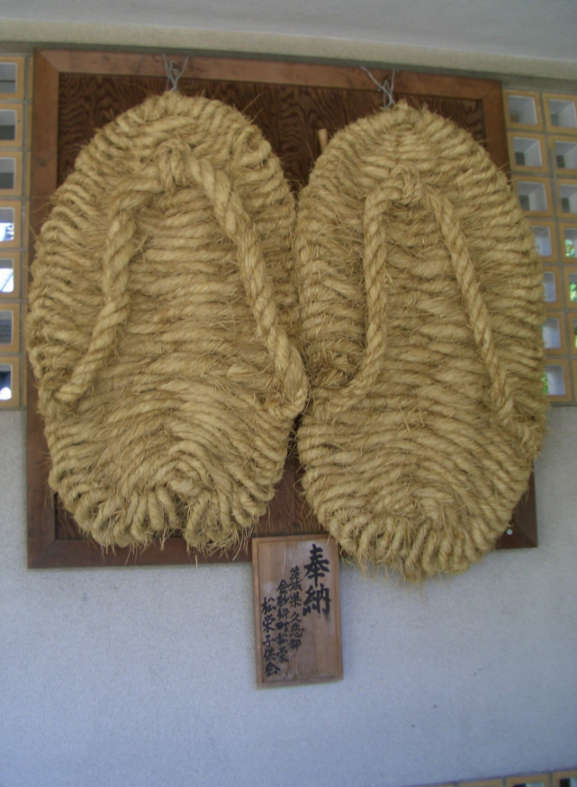 Buddha's Slippers