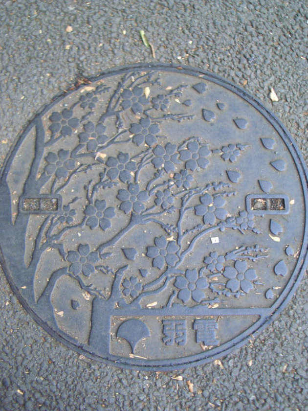artistic manhole cover - seen in Tokyo