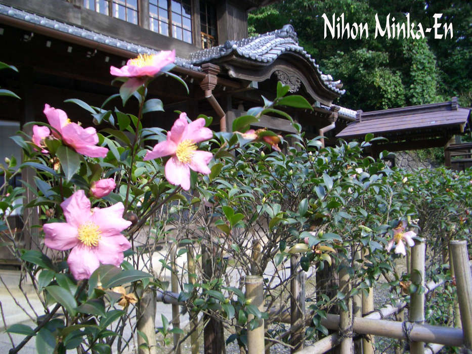 Nihon Minka-En Open Air Museum