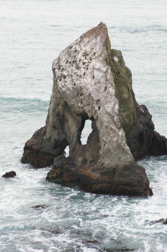 Kormoranfelsen - Cormorant Rock