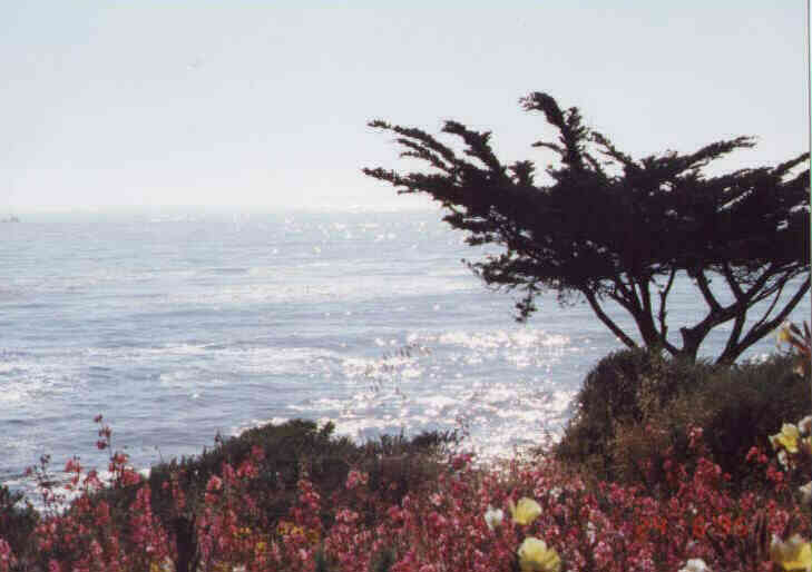 View of the Pacific in front of the House - Blick auf den pazifischen Ozean vor dem Haus