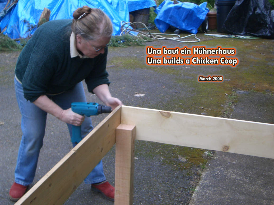 Una baut das Hühnerhaus - Una builds the chicken coop