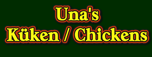 Una's Küken / Una's Chickens