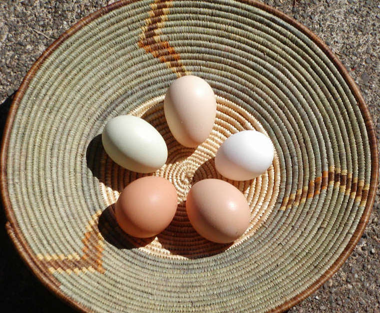 A basket of Eggs