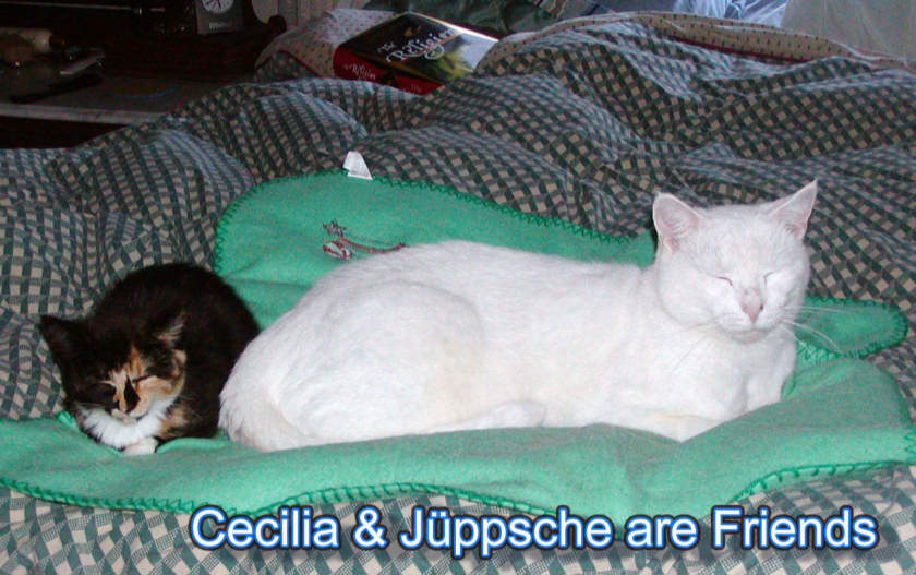 Cecilia & Jüppsche