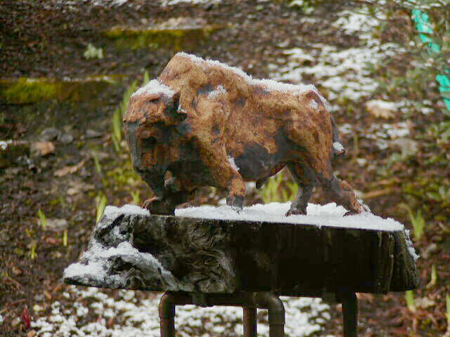 Buffalo in Snow / Büffel im Schnee