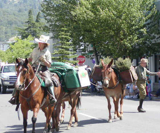 US Forestry Service... and their Mules
